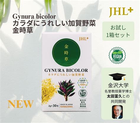 GUNURA BICOLOR - カラダにうれしい加賀野菜（金時草） | Japan Health Lab.