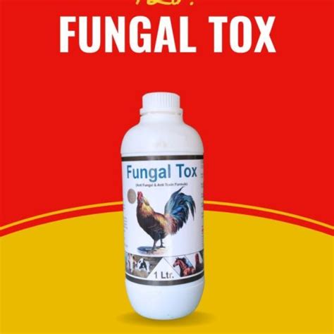 Animal Feed Supplements,Poultry Feed Supplements Suppliers