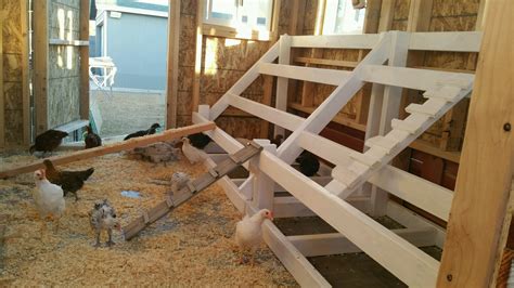 roosting bars | BackYard Chickens - Learn How to Raise Chickens