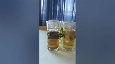 Image result for ASMR Tea