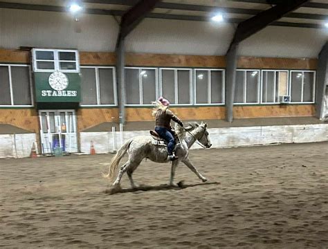 Bloomfield Stables FUN SHOW , Bloomfield Stables of PC, New Bloomfield ...