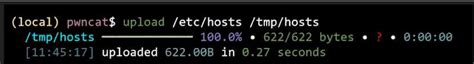 Dive Deep into pwncat - Download or Upload Files | CyberWiki ...