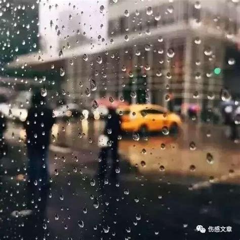 你住的城市下雨了，很想问你有没有带伞 - 每日头条