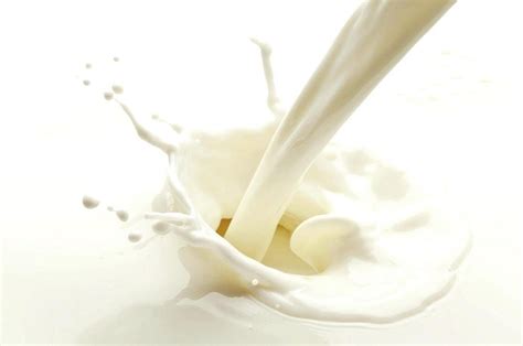 纯牛奶的营养价值及功效与作用_健康大百科
