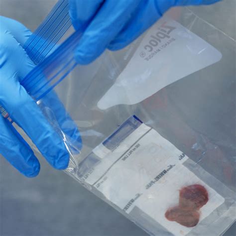 CWD Sampling 的图像结果