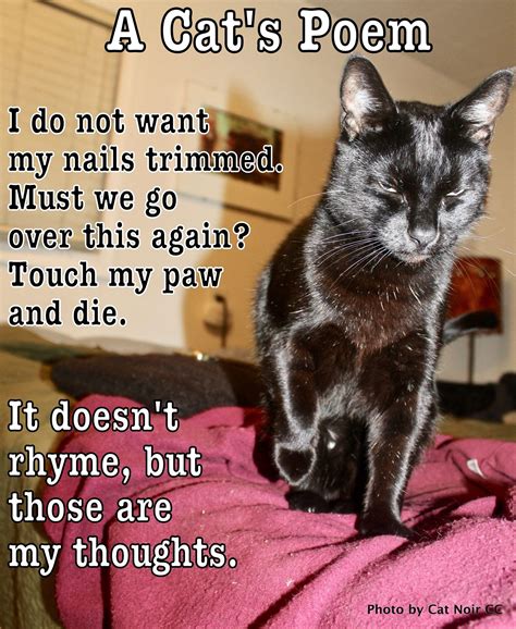 T Wilson on Instagram: "Virgil is a #poet now. The human is sure great ...