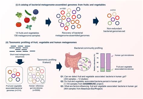 Fruit- and Vegetable-Derived Microbes Contribute to Gut Microbiome ...