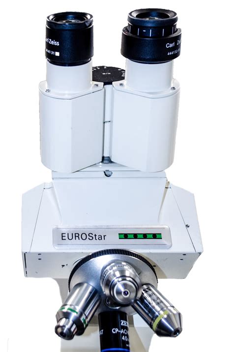 Microscope Diatom 的图像结果