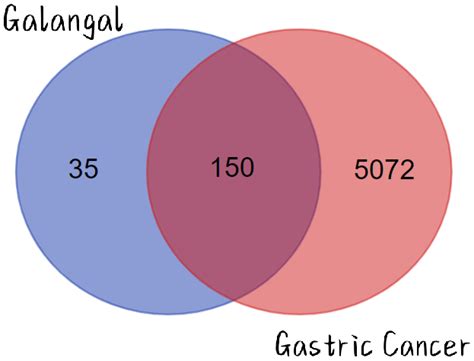 A Study on the Mechanism of Action of Galangal in the Treatment of ...