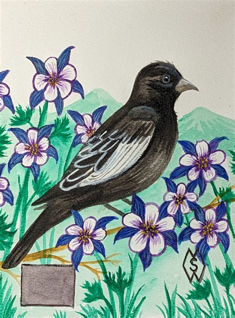ArtStation - Colorado state bird and flower, the lark bunting and Rocky ...