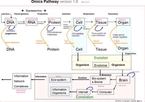 Omics Introduction 的图像结果