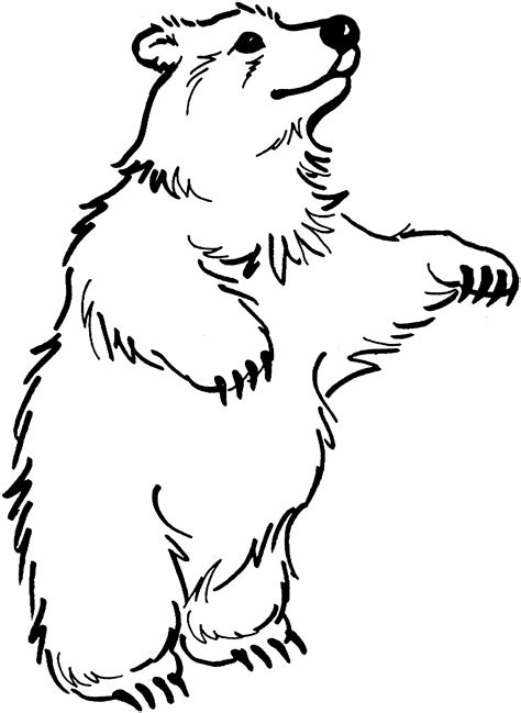 Printable Bear Coloring Pages