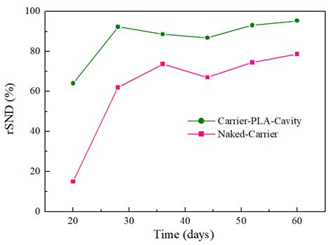 Innovative Coating–Etching Method of Biocarrier Fabrication for ...
