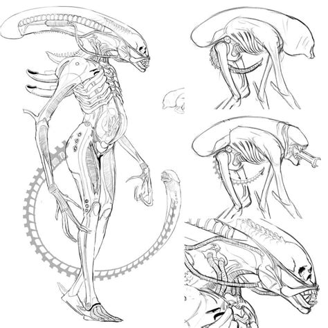 Alien Chestburster Drawing 的图像结果
