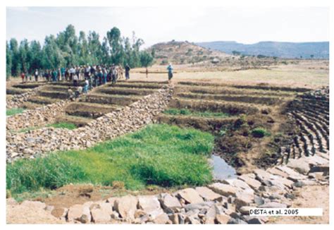 Agriculture in GOODU: AEG-101-Class-5 : Gully classification and ...