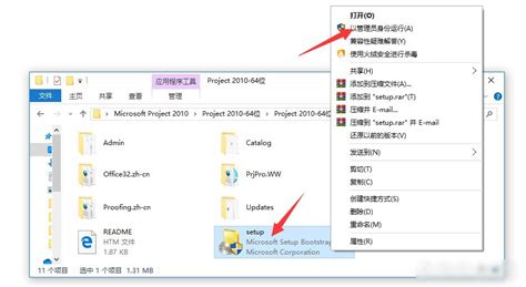 Microsoft Project 2010 Support 的图像结果