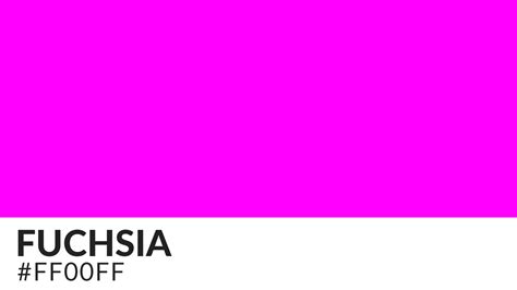 Fuchsia Color: Meaning, History, and Common Applications | HipFonts