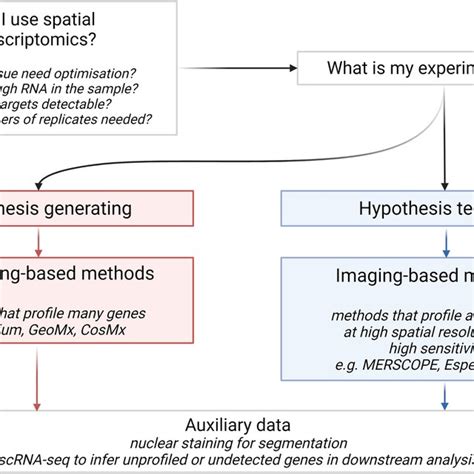 Image result for Spatial Transcriptomics Methods