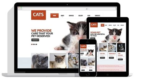 Image result for DotNetNuke Developer