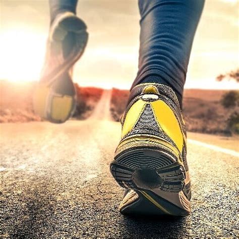 OEKO-TEX® STANDARD 100 certification of footwear - Hohenstein