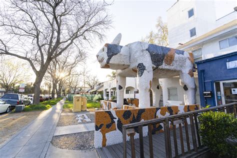 Cane's Davis California at Cameron Malone blog