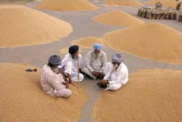 Special: Madhya Pradesh's high-tech solution for PDS - Rediff.com Business