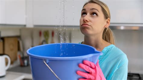 5 Essential Steps to Restore Water Damage from Roof Leaks - PuroClean of Coral Gables