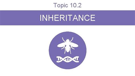 Image result for Inheritance Topic