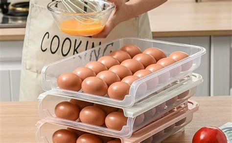 FODGO STYLES Egg Storage Box With Lid | Egg Storage Container Single ...