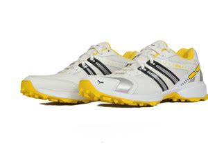 SEGA BY STAR IMPACT PVT LTD Glide Cricket Shoes For Men - Buy SEGA BY ...