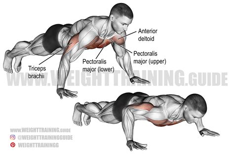 Image result for Push-Up Exercise