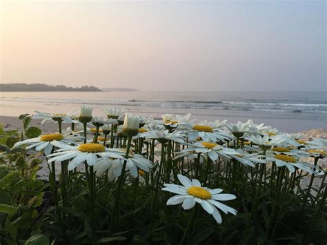 THE BEST Scarborough Hotels with Outdoor Pool 2026 (with Prices)