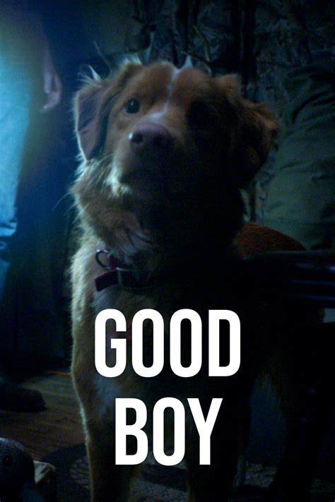 Good Boy Movie Budget
