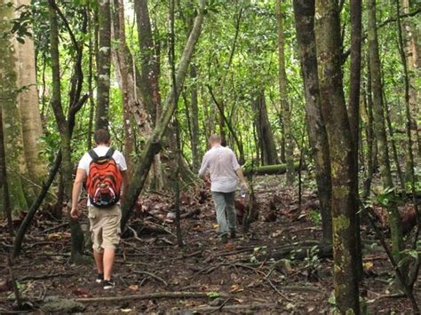 Ujung Kulon Trek (Carita) - 2021 What to Know Before You Go (with ...