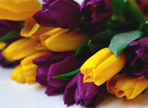 The History of Flowers by Coley San Jose | San Jose Flower Delivery