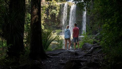 Whangārei isite Visitor Information Centre | Visitor Information ...