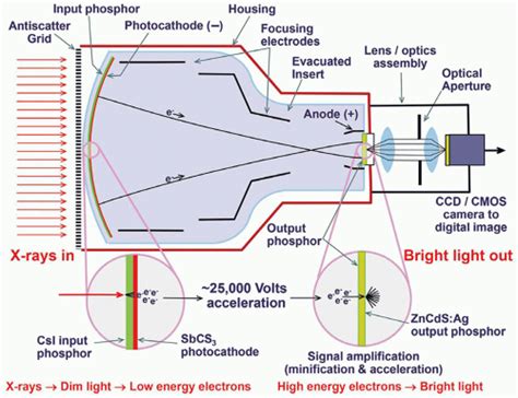 Image result for Fluoroscopy Screen