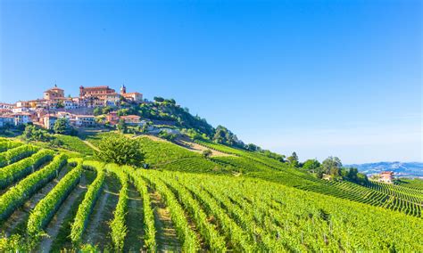 Italian Wine Routes - italiaplus.com