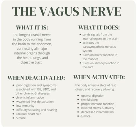Pinterest in 2025 | Vagus nerve, Nervous system, Emotional health