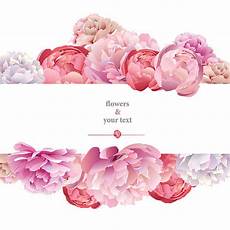 peony clipart best peony flower illustrations royalty free vector peony clipart best peony flower illustrations royalty free vector