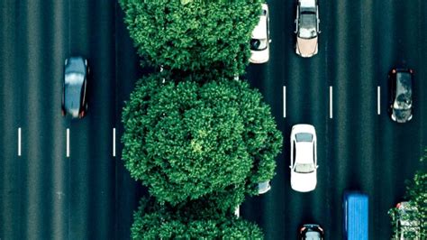 Image result for Bill Quinlan License Plate Reader