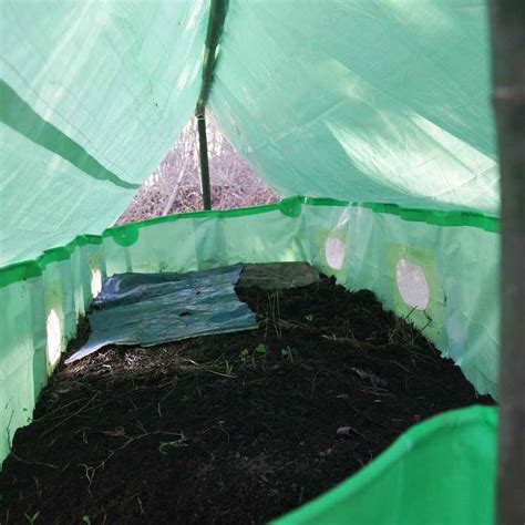 Buy Vermibed 10FT X 4FT X 1.5FT Online fdelivery all Over India.