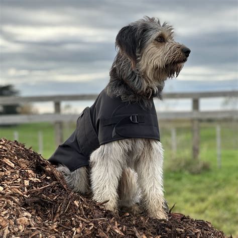 Waterproof Wool lined Dog Jacket-New Zealand Made