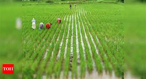 5 Yrs On, 34% Agri Coop Society Members Await Debt Waiver | Chandigarh ...