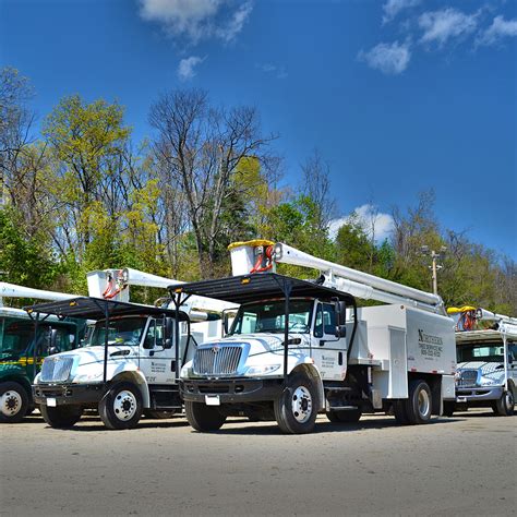 Northeastern Tree Service 的图像结果