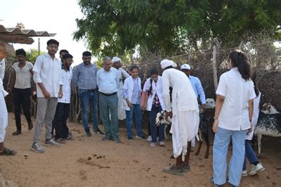 Home [www.kamdhenuuni.edu.in]