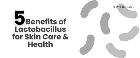 5 Benefits of Lactobacillus for Skin Care & Health. – WHITE SLATE