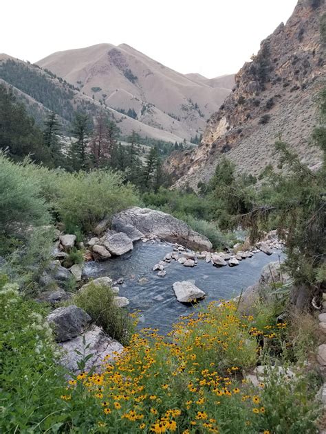 Goldbug hot springs, idaho, USA. Camped out and saw some AMAZING stars ...