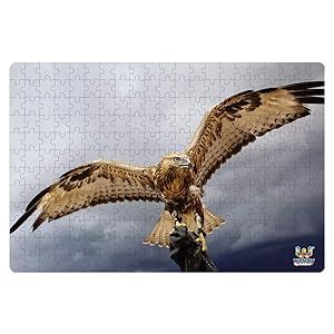 Buy Webby Falcon with Spread Wings Jigsaw Puzzle, 252 Pieces Online at ...