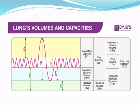 Lungs volume and Capacities | PPTX